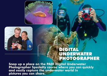 Digital UW Photographer